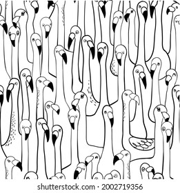 Seamless pattern from flamingos decoration
