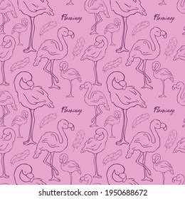 Patrón sin foco. Flamingos. Doodle. Pájaro de contorno. Contacto. Flamingo rosa.