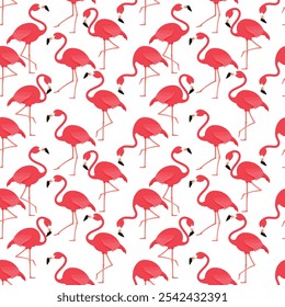 Un patrón sin fisuras con flamencos o flamencos es un tipo de ave zancuda en la familia Phoenicopteridae. Un grupo de flamencos se llama "flamboyance", diseño de ilustración de Arte vectorial rosa