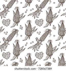 Seamless Pattern with Flint Corn (Indian corn or calico corn). Hand drawn doodle Vegetable Background. Vector illustration