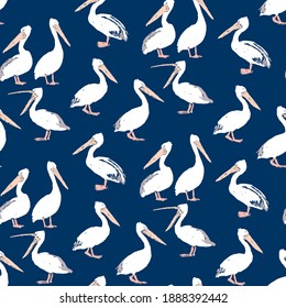 Seamless pattern of flock drawn white pelicans