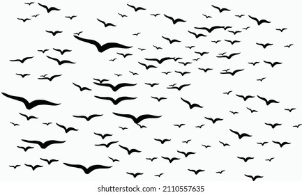 Patrón sin foco de un rebaño de aves voladoras
