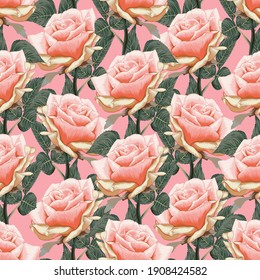 Seamless pattern floral beautiful pink pastel Rose flowers vintage abstract background.Vector illustration hand drawing dry watercolor.for fabric textile design or Product packaging