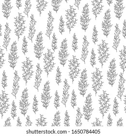 Seamless pattern with floral branches. Rustic texture for wedding. Vector isolated spring flourish background for textile.