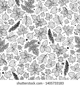 Seamless pattern with floral elements. Sketch.  Freehand drawing