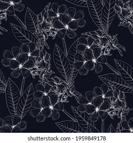Seamless pattern floral with frangipani flowers abstract background.Vector illustration hand drawn line art.For fabric fashion print design or product packaging.