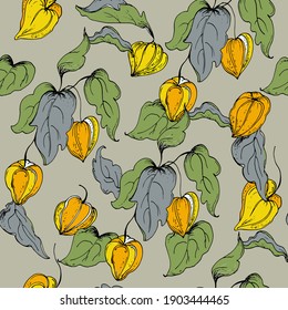 Patrón sin inconvenientes con hojas y flores fisalis.Ilustración vectorial