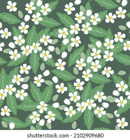 Seamless pattern with floral motifs: white jasmine flowers with green leaves on a dark green background. Vector graphics