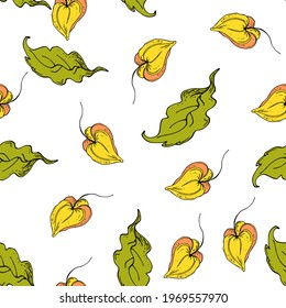 seamless pattern floral with phisalis flowers .vector illustration