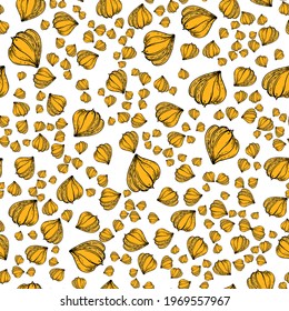 seamless pattern floral with physalis flowers .vector illustration