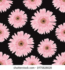 Seamless pattern floral with pink Gerbera flowers abstract background.Vector illustration hand drawn line art.fabric textile pattern print design