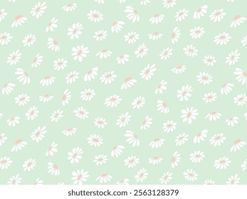 Seamless pattern of floral plants, flowers, daisies, chamomile, daisy. Decorative elements for decoration. Hand drawing doodles of vector botanical elements in flat style