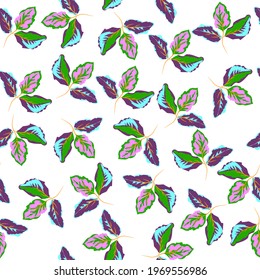 seamless pattern floral with tropical leaves vector illustration