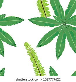 Seamless pattern floral vector illustration.Green fern on white background.