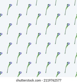 Seamless pattern with flower. Abstract cute pattern on a Woman's Day with blue tulip on a white background. Very Peri background with tulips. Spring postcard for March 8.