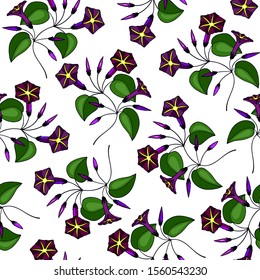 seamless pattern. flower, buds of bindweed. eps10 vector illustration. hand drawing