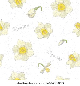 Seamless pattern with flower buds of daffodils with watercolor splashes, lettering. Continuous pattern with floral romantic elements. Endless texture for the spring season. For various design, easter.