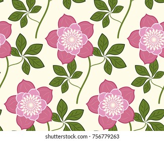 Seamless pattern flower Christmas rose, vector