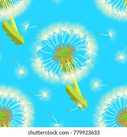 Seamless pattern with flower dandelion  vector illustration