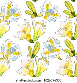 seamless pattern flower freesia kind of iris.  vector illustration