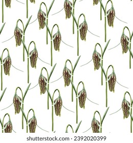 Seamless pattern with flower imperial fritillary (Fritillaria). Illustration on white background.