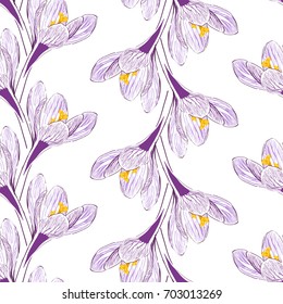 Seamless pattern with flower of saffron on white background. 
