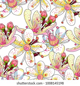 seamless pattern  flower of the Saxifrage urbrosa  vector illustration