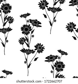 Seamless pattern of flower silhouette  chamomile. Black and white. Hand drawn. For wrapping paper, textile, wallpapers, print, greeting. Vector illustration.