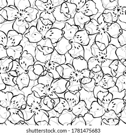Seamless pattern with flowering jasmine branches on white background. Floral vector background.  Line art.  Monochrome.