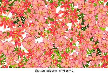 Seamless pattern of flowers.