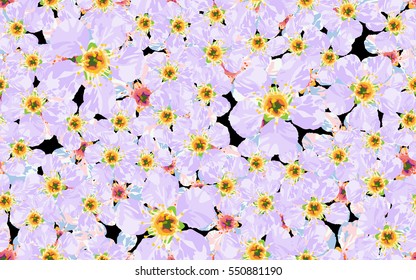 Seamless pattern of flowers.