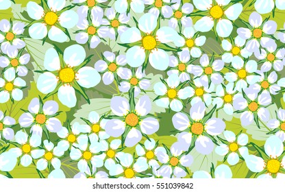 Seamless pattern of flowers.
