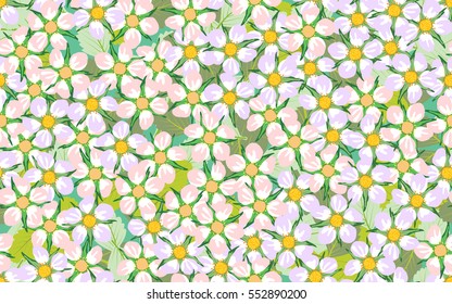 Seamless pattern of flowers.