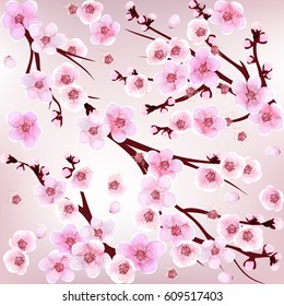 Seamless Pattern with flowers. Apricot, peach, cherry, plum.  Vector illustration. Springtime. flowers. 