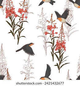 seamless pattern with flowers and birds, fireweed, red willowherb, field flowers and robin birds, vector drawing wild plants at white background, hand drawn natural illustration