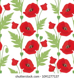 Seamless pattern with flowers and buds of poppy