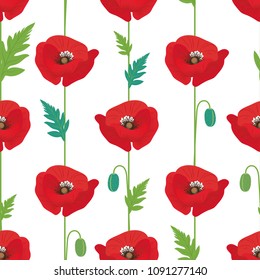 Seamless pattern with flowers and buds of poppy