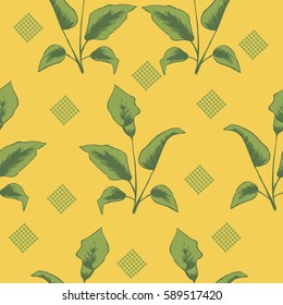 Seamless pattern with flowers calla.  Trendy colors for textile or book covers, manufacturing, wallpapers, print, gift wrap and scrapbooking. 