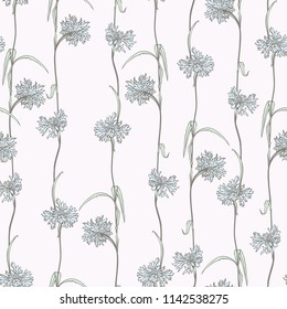 Seamless pattern with flowers carnations 