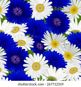 Seamless pattern with flowers chamomile and cornflowers . Vector illustration