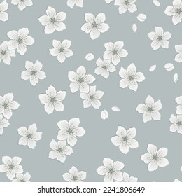 Seamless pattern with flowers of cherry. white flowers and buds on gray background. Spring floral print. Vector illustration