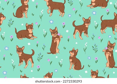 Seamless pattern with flowers and cute chihuahua dogs. Vector graphics.