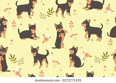 Seamless pattern with flowers and cute chihuahua dogs. Vector graphics.