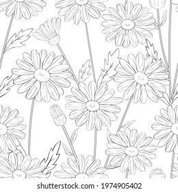 Seamless pattern flowers daisies graphics lines black and white vector illustration