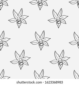 Seamless pattern of flowers drawn in black outline on a white background.