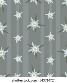 Seamless pattern with flowers edelweiss.Stylish alpine background.Vector illustration.