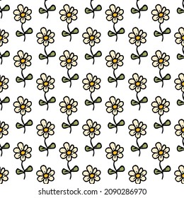 Seamless pattern with flowers. Floral background. Chamomile flowers isolated on white background