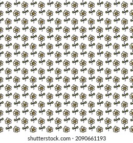 Seamless pattern with flowers. Floral background. Chamomile flowers isolated on white background