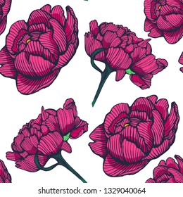 seamless pattern, flowers, hand drawing, vector illustration, peonies on white background