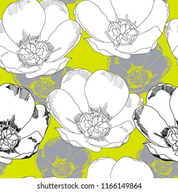 Seamless pattern with flowers. Hand drawn floral background.